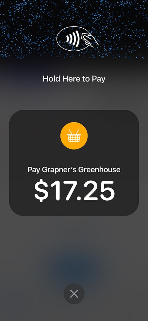 Tap to Pay on iPhone